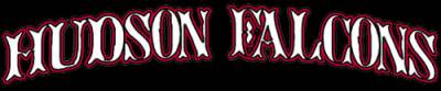 logo Hudson Falcons